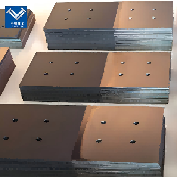 Titanium anode for disinfection machine